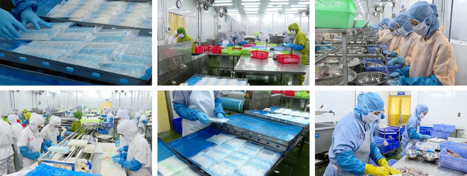 [E - Magazine] Nông nghiệp Thanh Hóa - Từ tiềm năng đến bứt phá