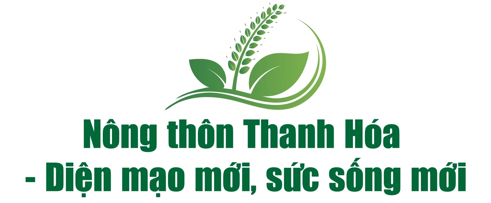 [E - Magazine] Nông nghiệp Thanh Hóa - Từ tiềm năng đến bứt phá