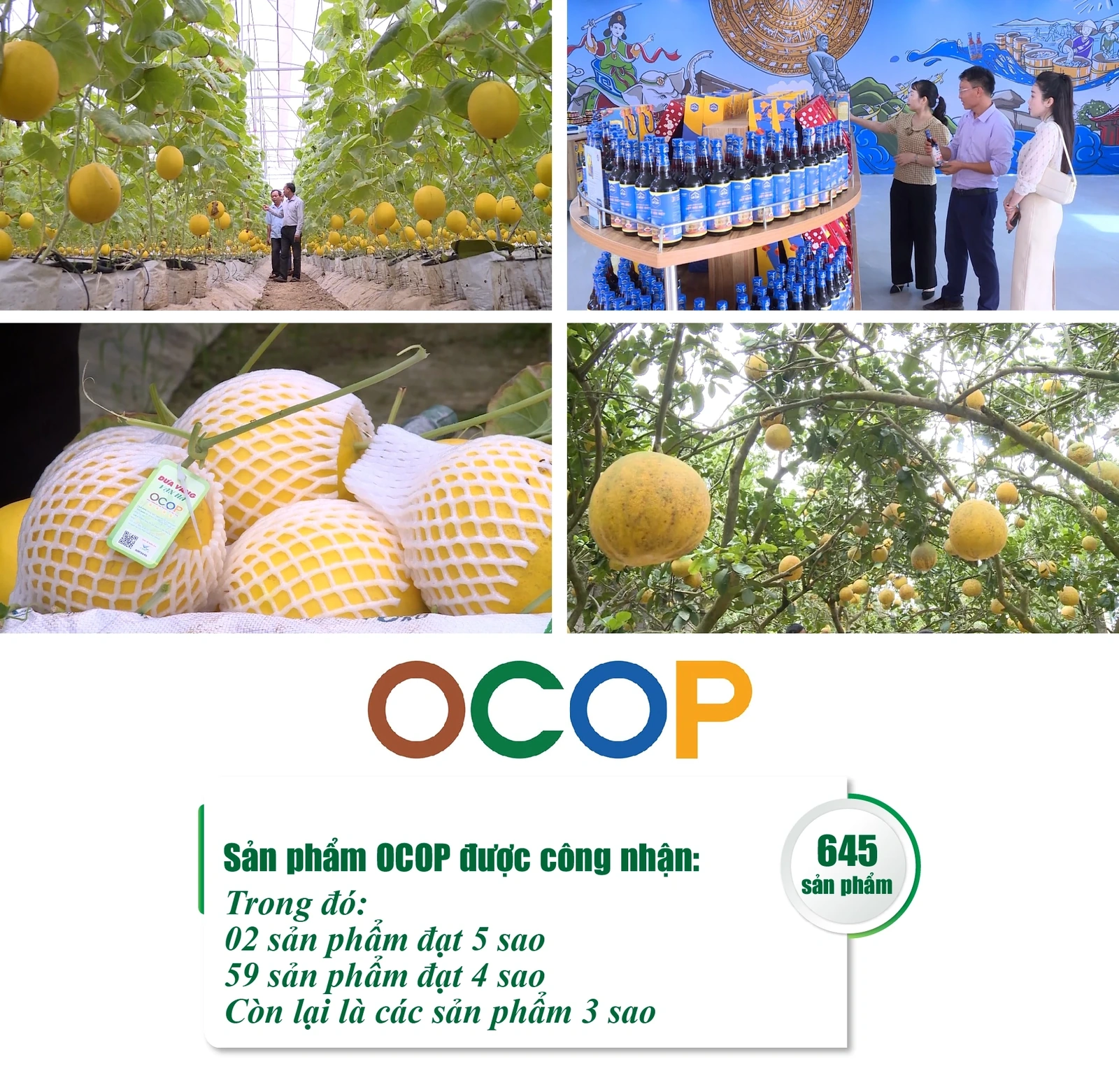 [E - Magazine] Nông nghiệp Thanh Hóa - Từ tiềm năng đến bứt phá