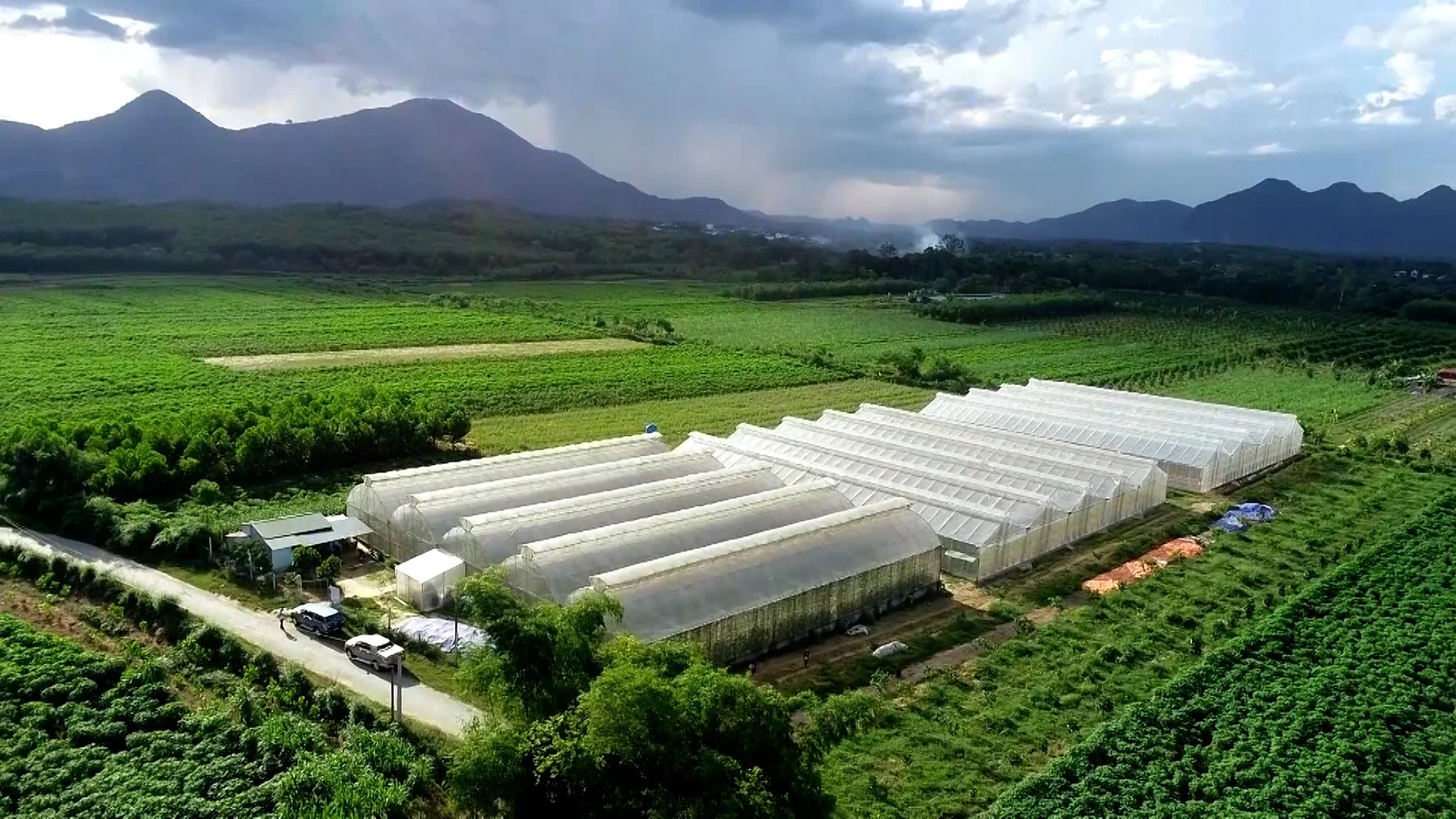 [E - Magazine] Nông nghiệp Thanh Hóa - Từ tiềm năng đến bứt phá