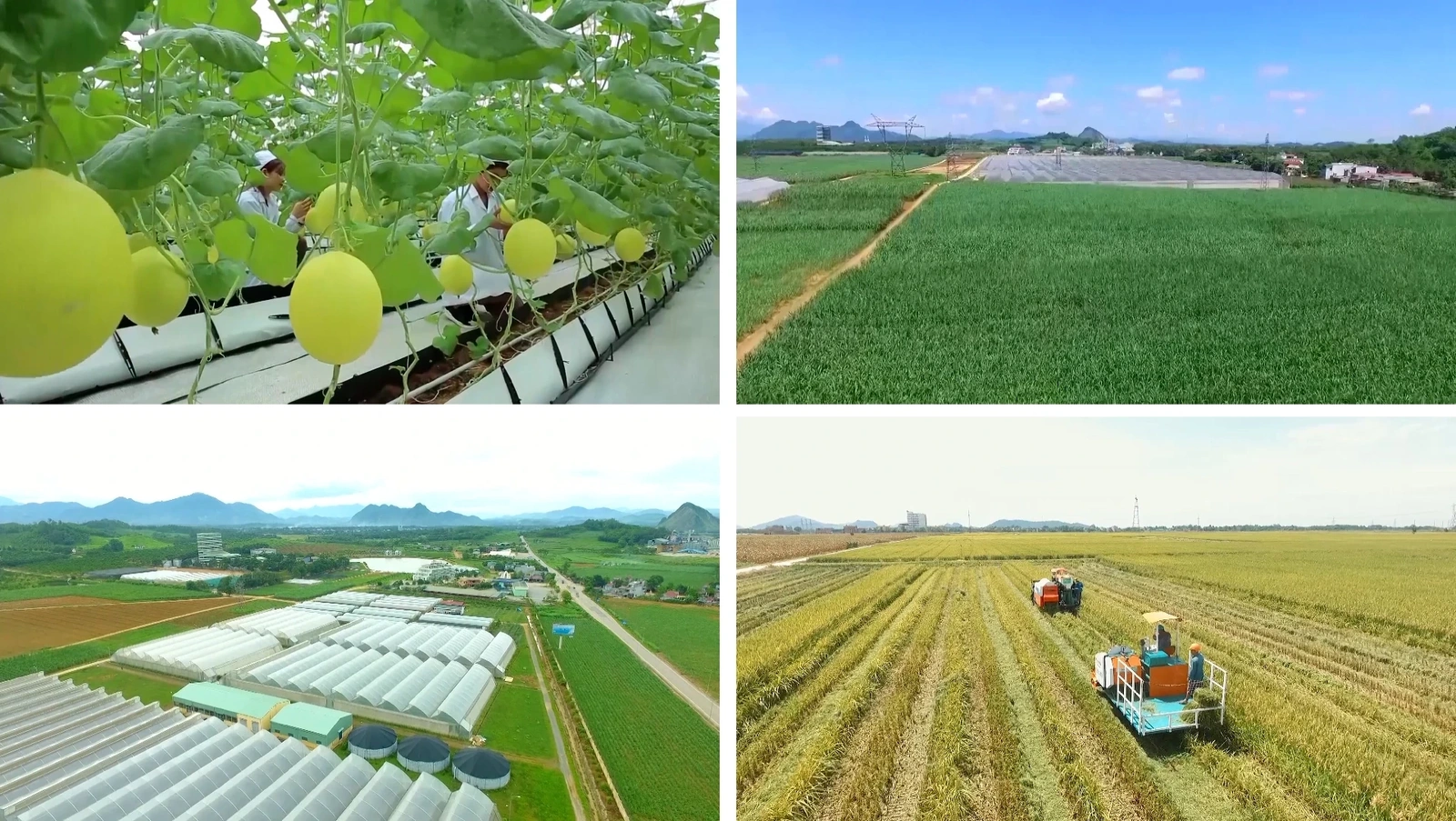 [E - Magazine] Nông nghiệp Thanh Hóa - Từ tiềm năng đến bứt phá