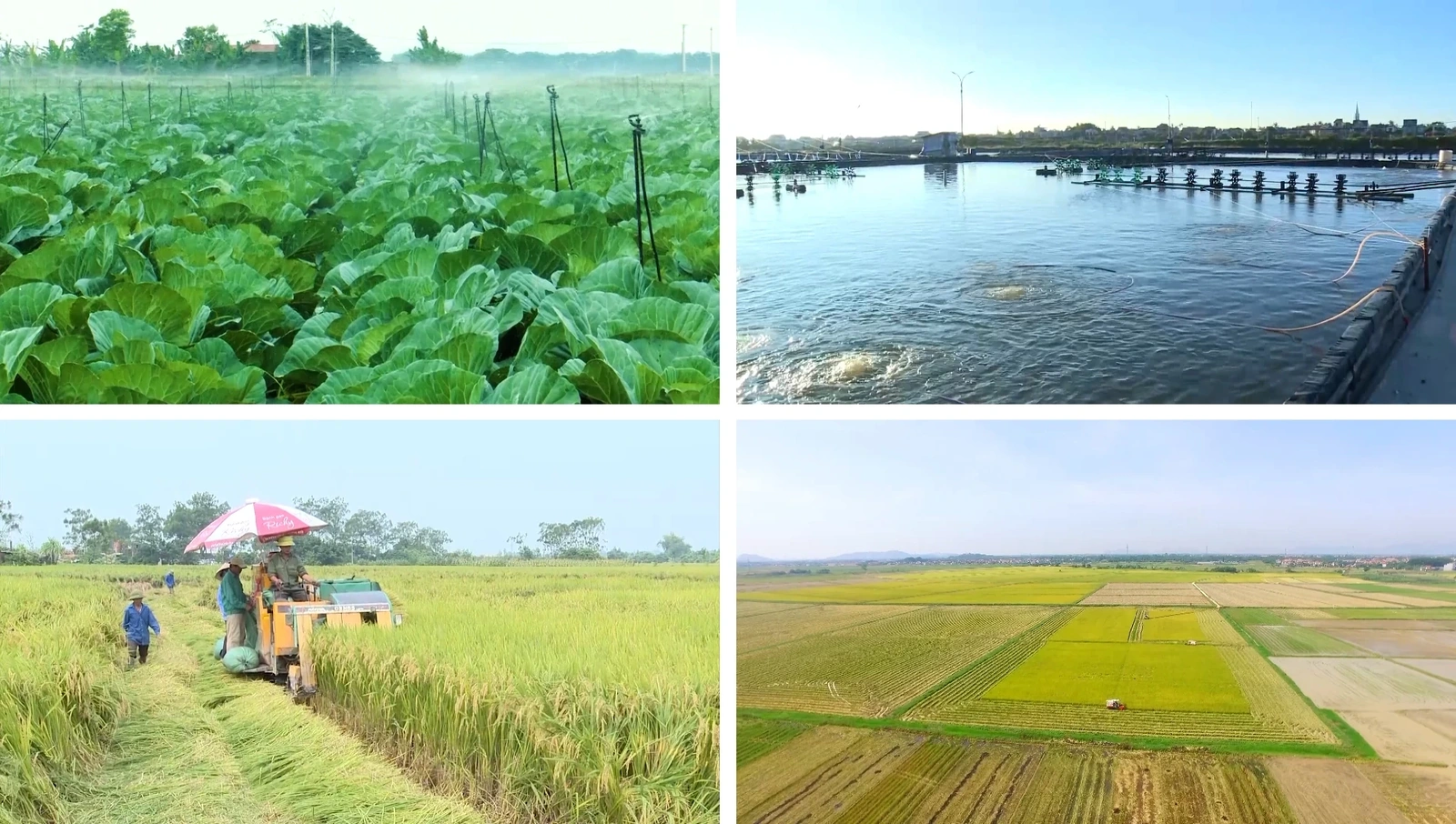 [E - Magazine] Nông nghiệp Thanh Hóa - Từ tiềm năng đến bứt phá