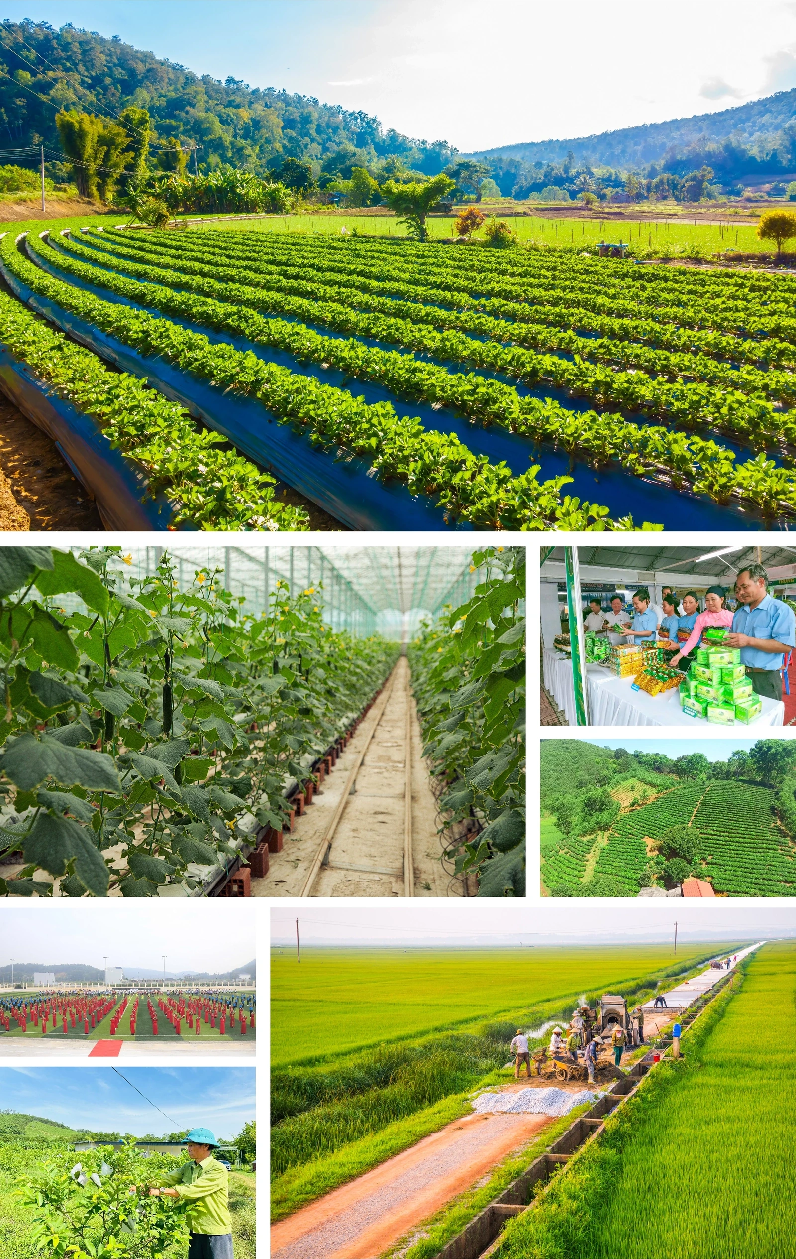 [E - Magazine] Nông nghiệp Thanh Hóa - Từ tiềm năng đến bứt phá