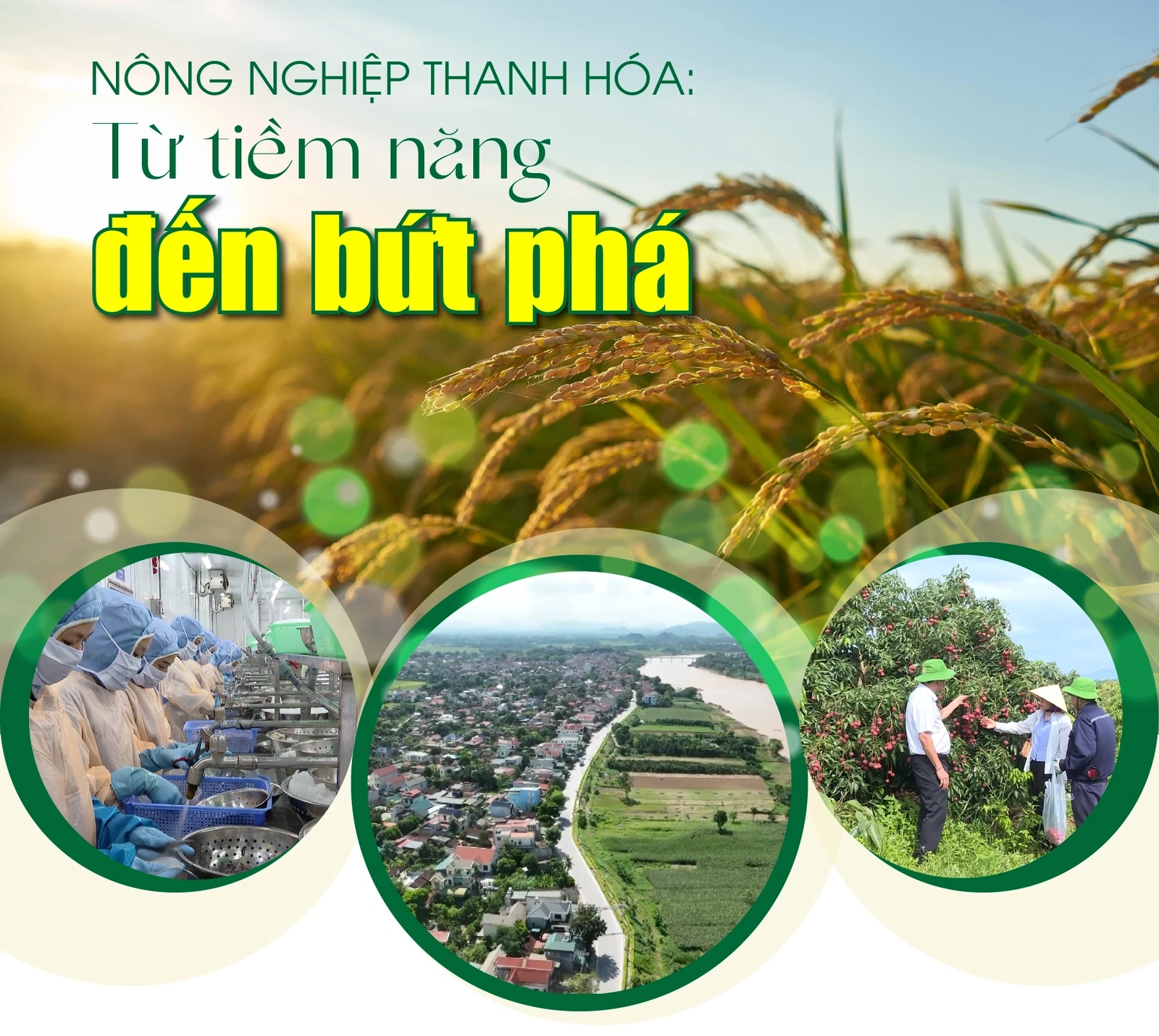 [E - Magazine] Nông nghiệp Thanh Hóa - Từ tiềm năng đến bứt phá
