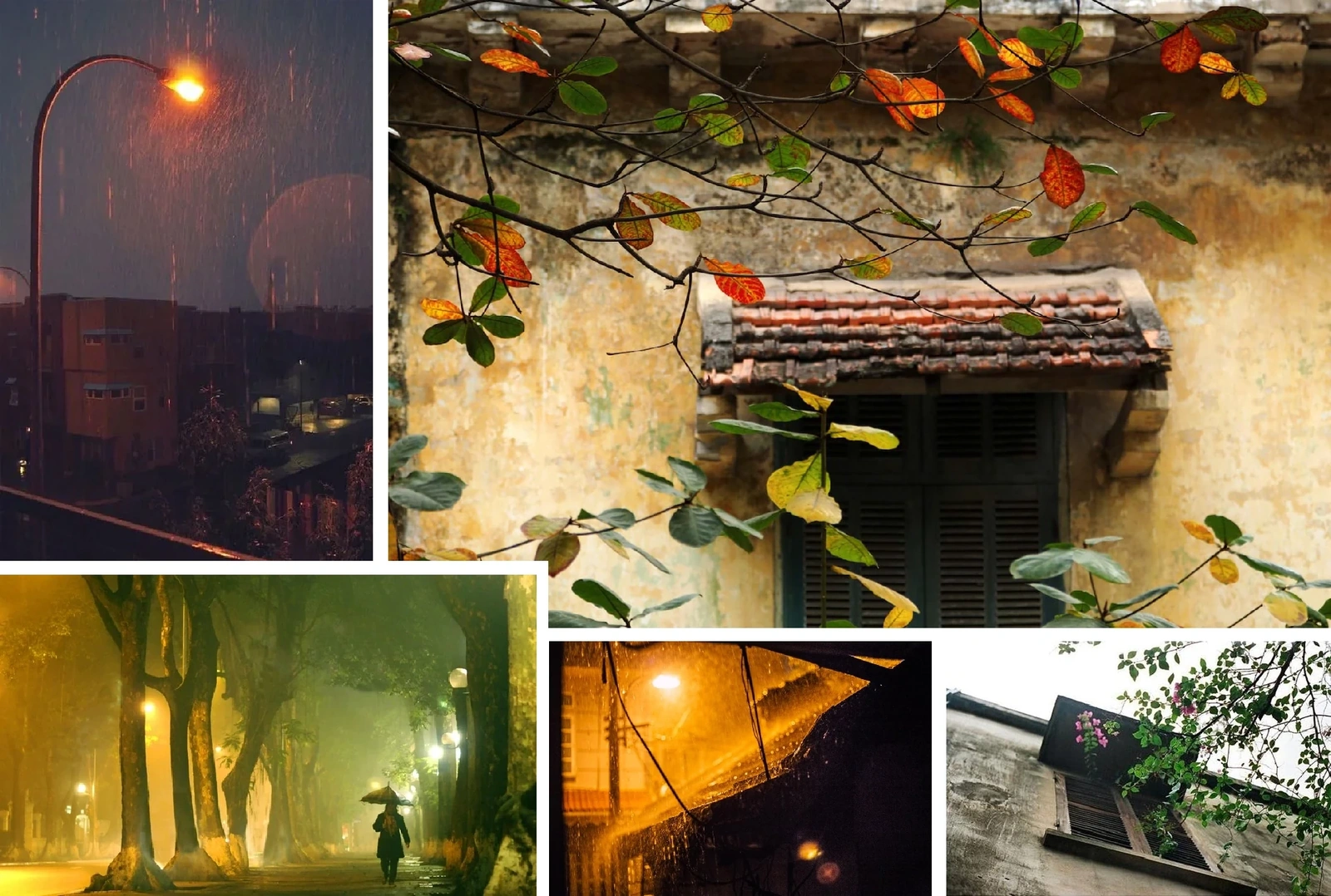 [E - Magazine]: Có lẽ ai cũng mang trong mình một mùa đông để nhớ