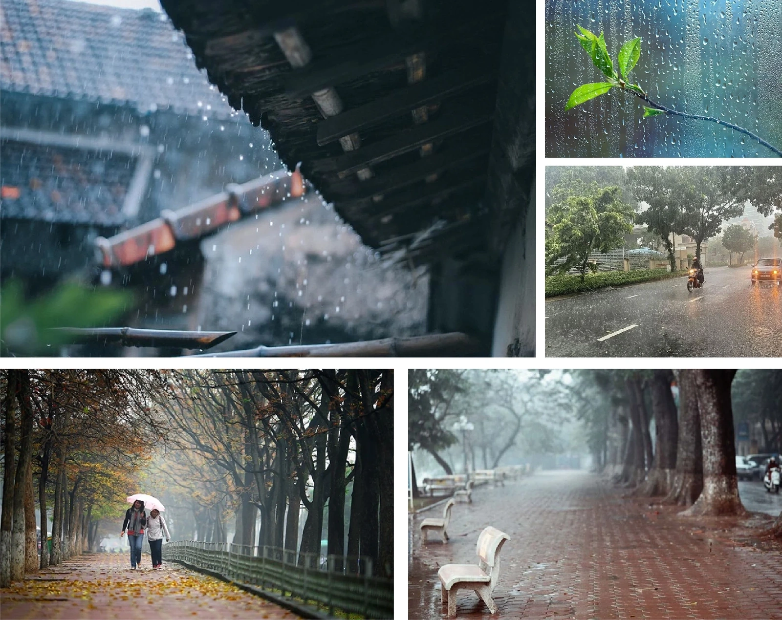 [E - Magazine]: Có lẽ ai cũng mang trong mình một mùa đông để nhớ