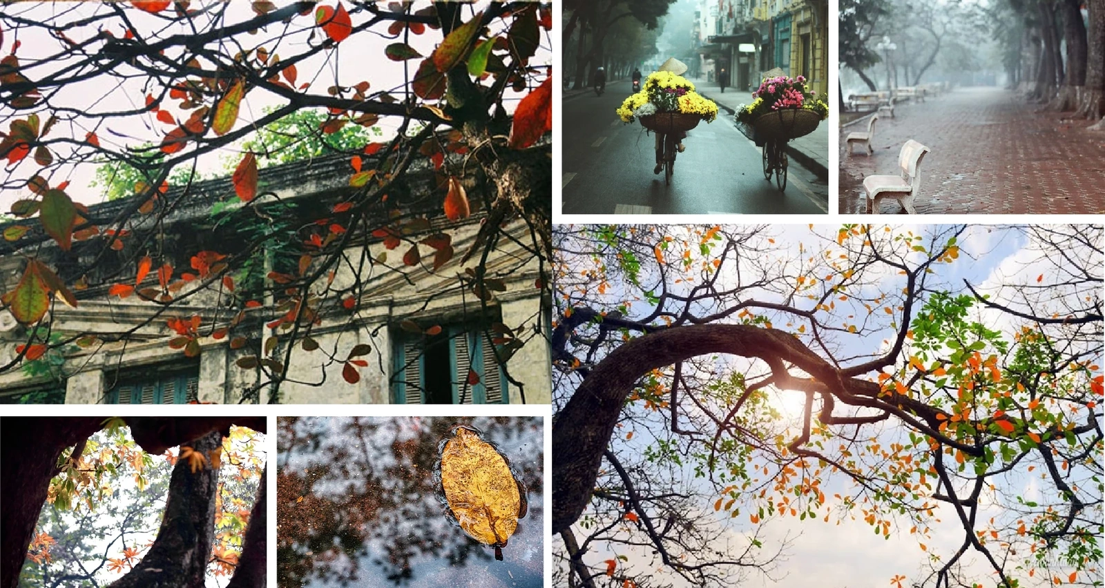 [E - Magazine]: Có lẽ ai cũng mang trong mình một mùa đông để nhớ