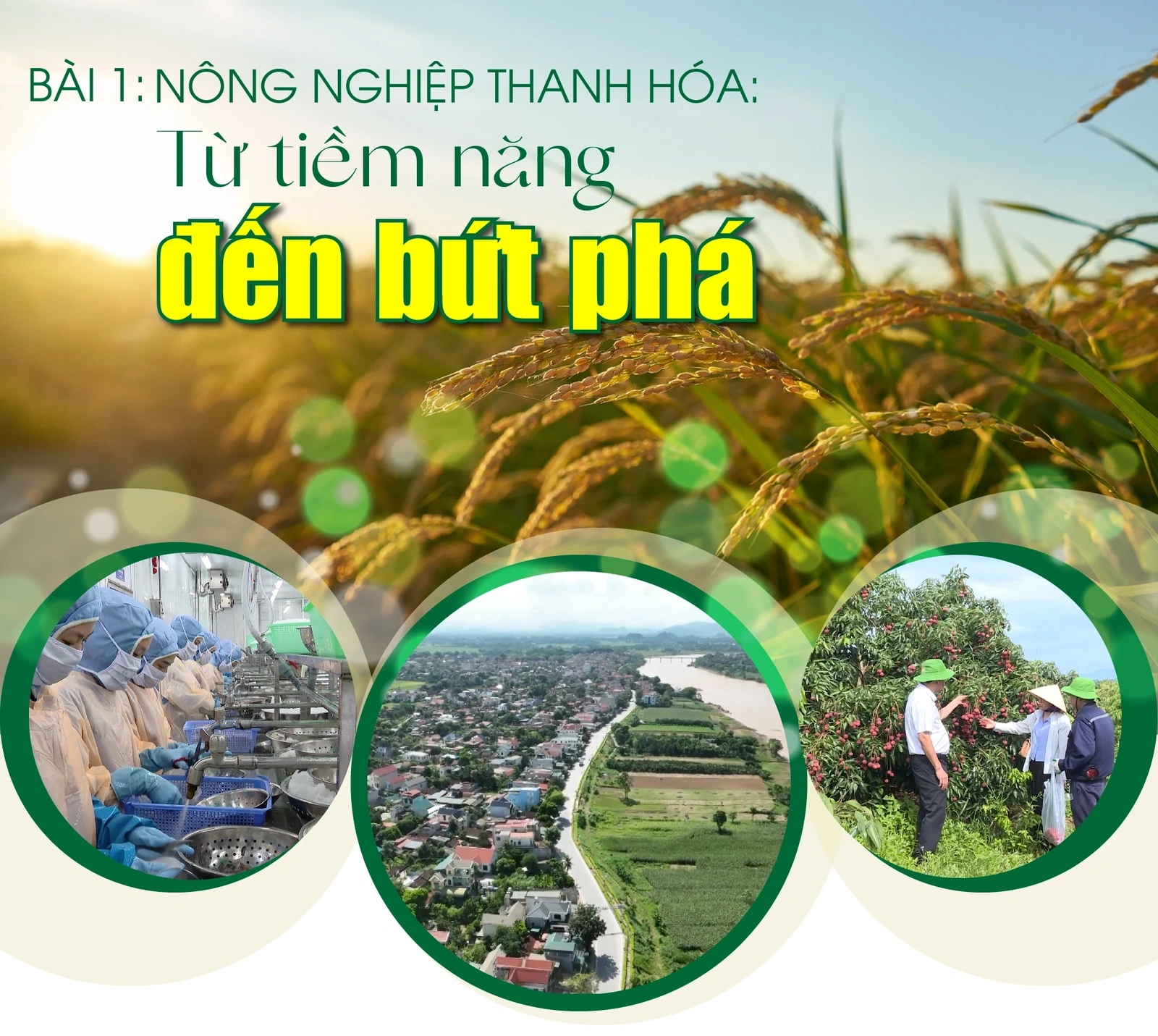 [E - Magazine] Nông nghiệp Thanh Hóa - Từ tiềm năng đến bứt phá