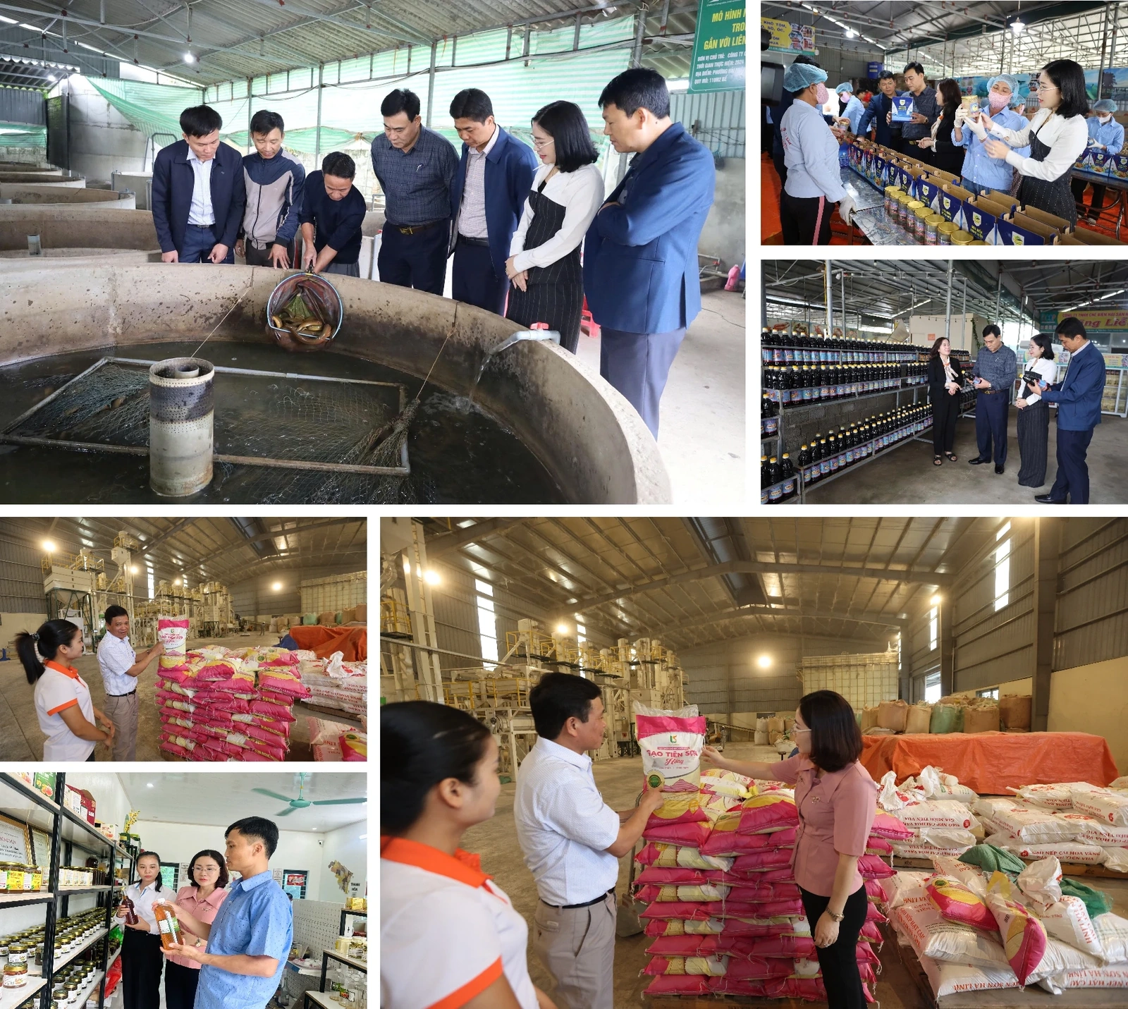 [E - Magazine] Phong trào Nông dân SXKD giỏi - sức lan tỏa bền vững của nông dân Thanh Hóa