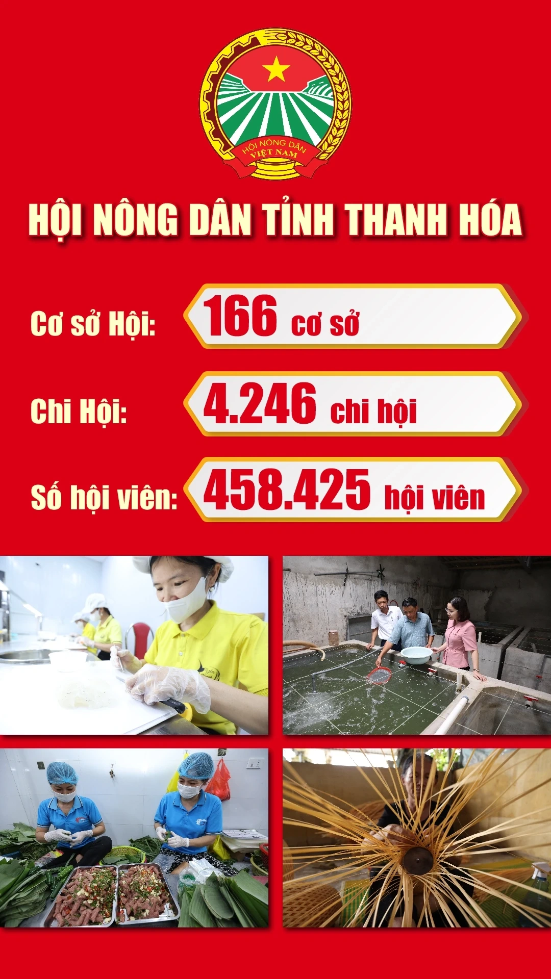 [E - Magazine] Phong trào Nông dân SXKD giỏi - sức lan tỏa bền vững của nông dân Thanh Hóa