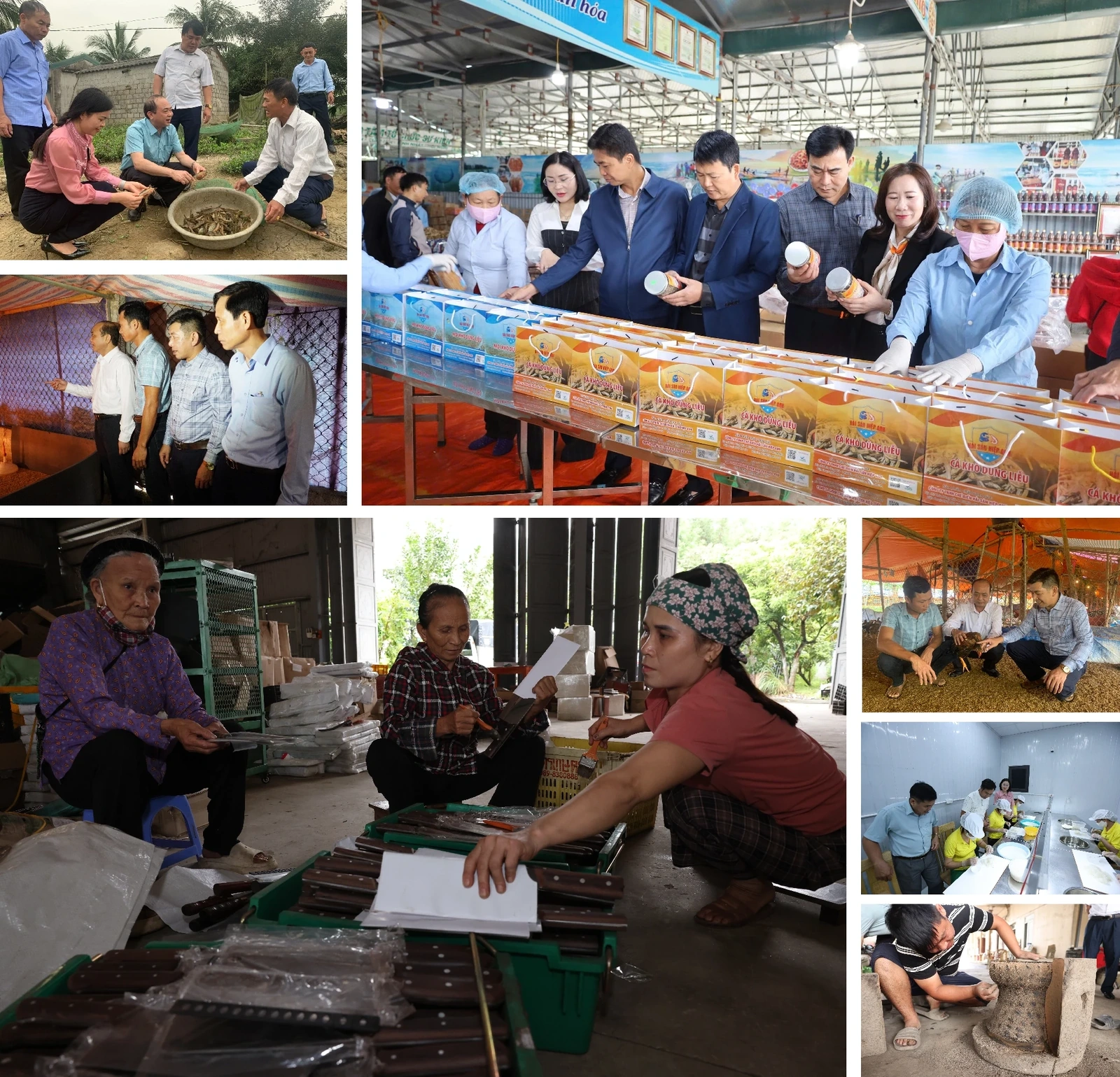 [E - Magazine] Phong trào Nông dân SXKD giỏi - sức lan tỏa bền vững của nông dân Thanh Hóa