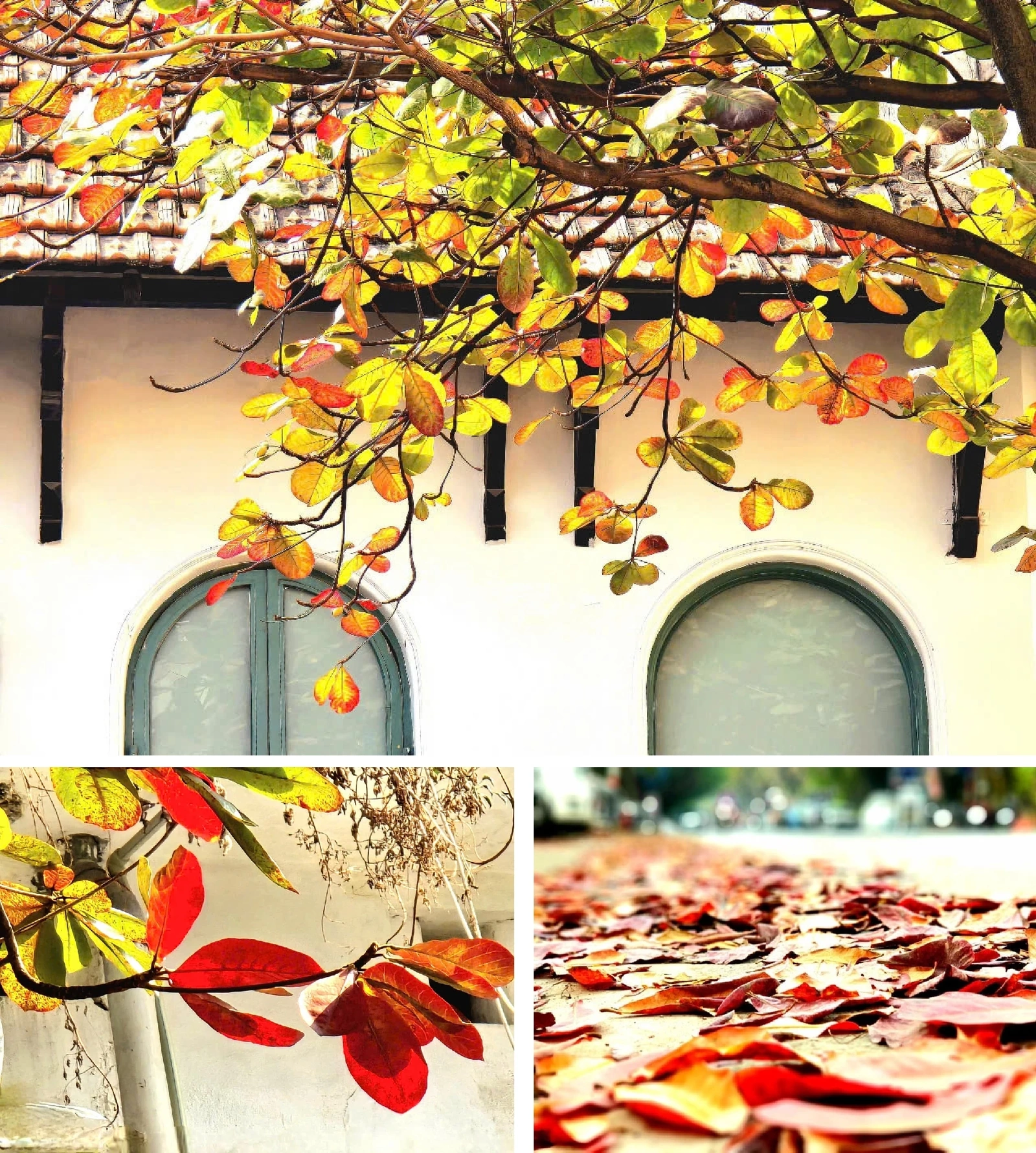 [E-Magazine]: Đông về, gọi yêu thương vọng lại