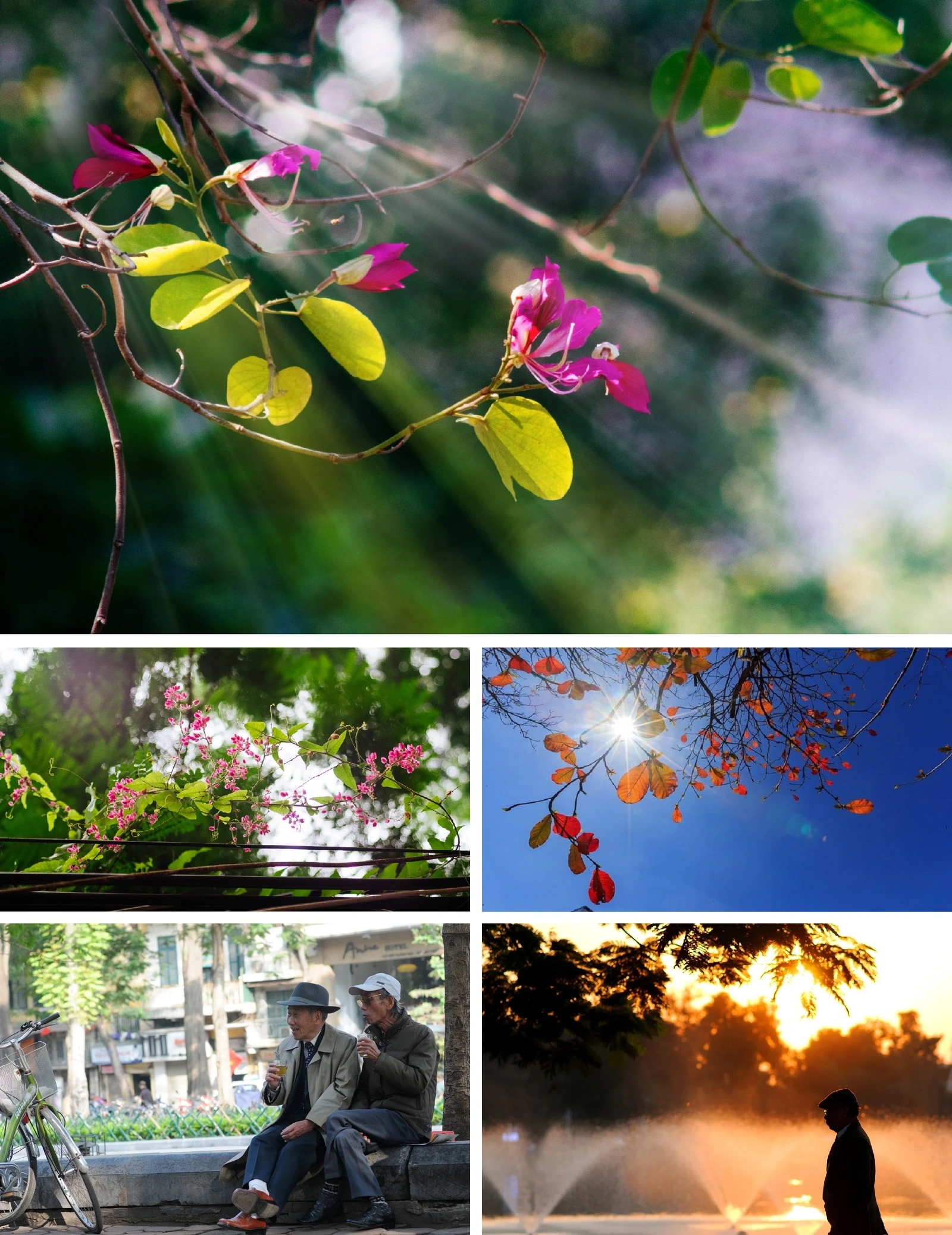 [E-Magazine]: Đông về, gọi yêu thương vọng lại