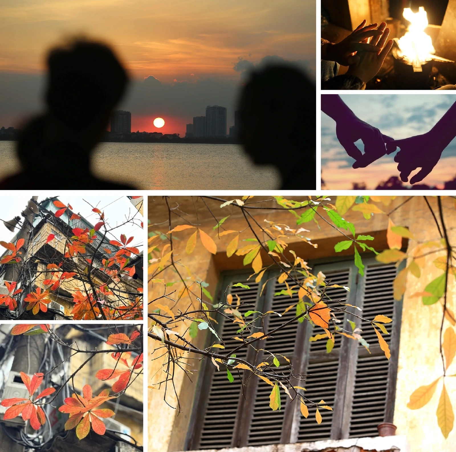 [E-Magazine]: Đông về, gọi yêu thương vọng lại