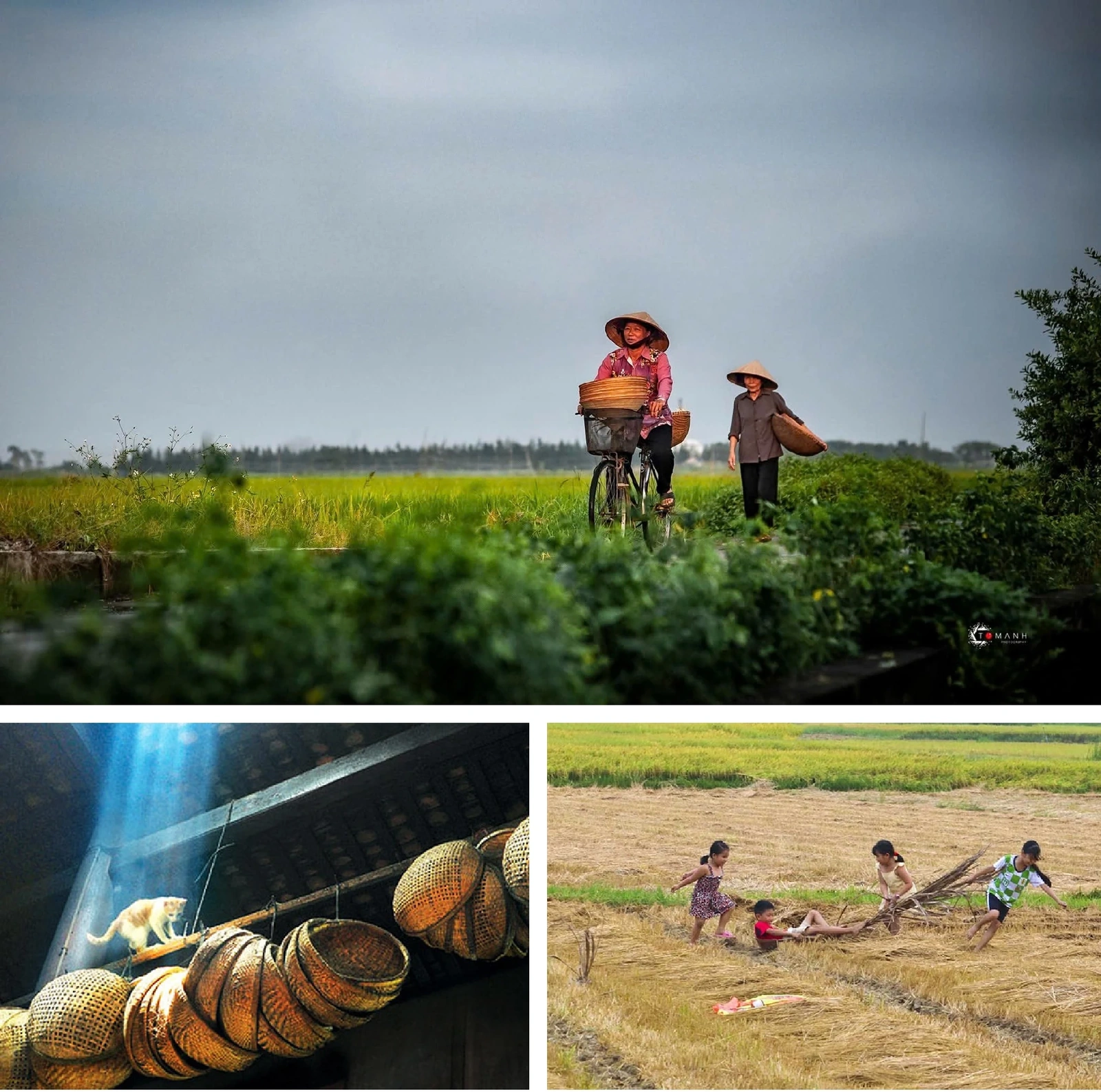 [E-Magazine]: Đông về, gọi yêu thương vọng lại