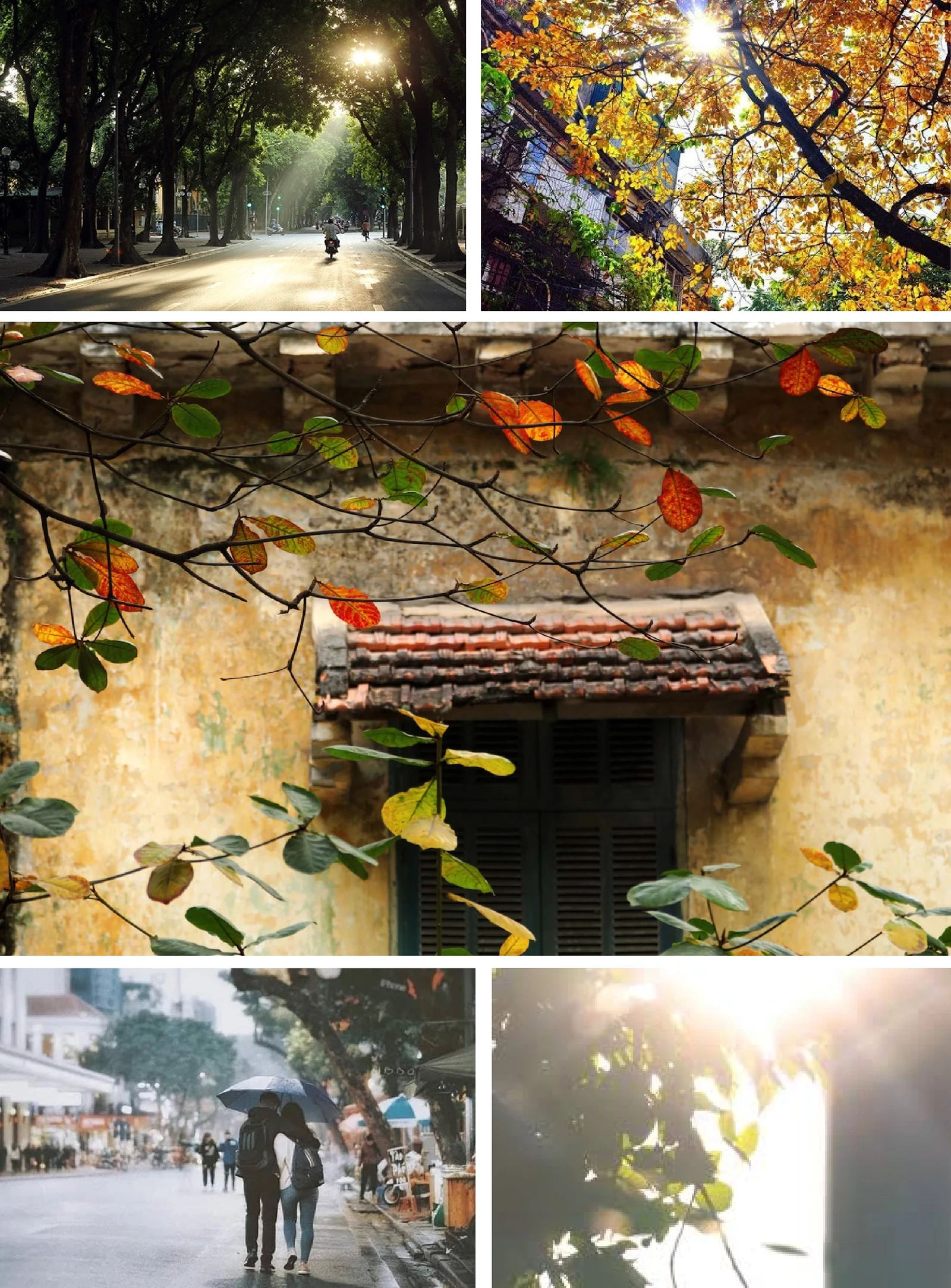 [E-Magazine]: Đông về, gọi yêu thương vọng lại