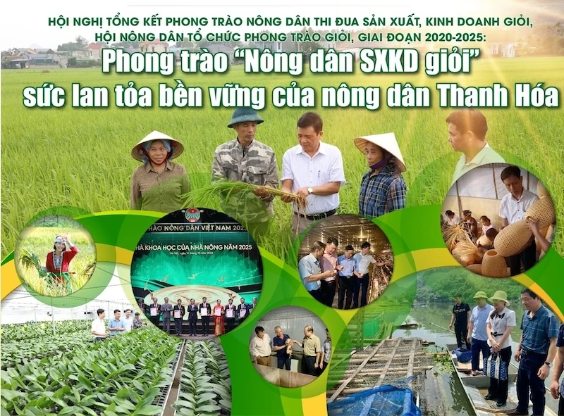 [E - Magazine] Phong trào Nông dân SXKD giỏi - sức lan tỏa bền vững của nông dân Thanh Hóa