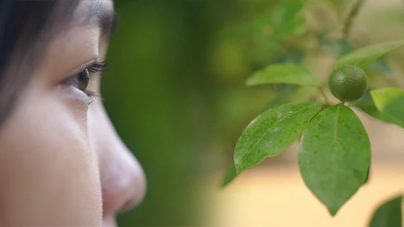 [E - Magazine] Từ bóng tối bạo lực đến ánh sáng yêu thương - Kỳ 1: Ám ảnh nỗi đau...