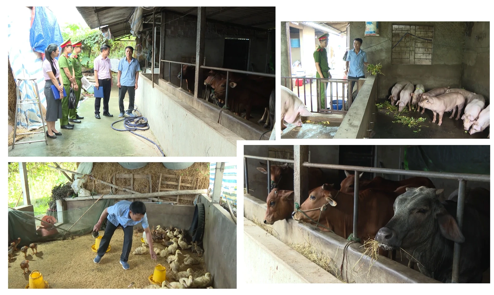 [E-Magazine] Ánh sáng của niềm tin - Mở lối cho người hoàn lương