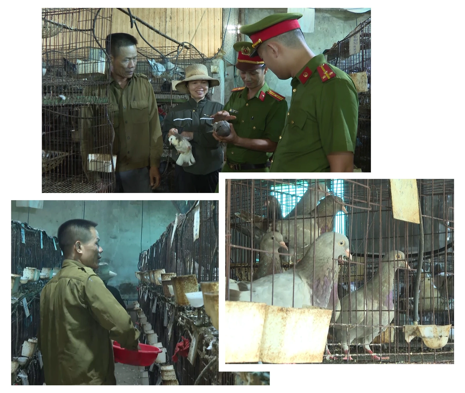 [E-Magazine] Ánh sáng của niềm tin - Mở lối cho người hoàn lương