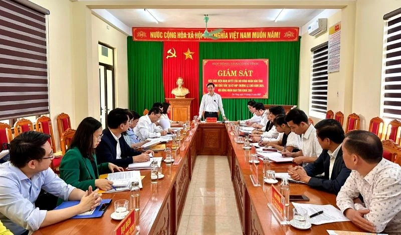 Giám sát thực hiện Nghị quyết về nội dung chất vấn của HĐND tỉnh tại xã Sao Vàng