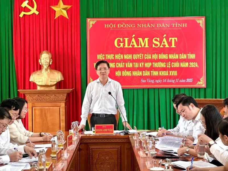 Giám sát thực hiện Nghị quyết về nội dung chất vấn của HĐND tỉnh tại xã Sao Vàng