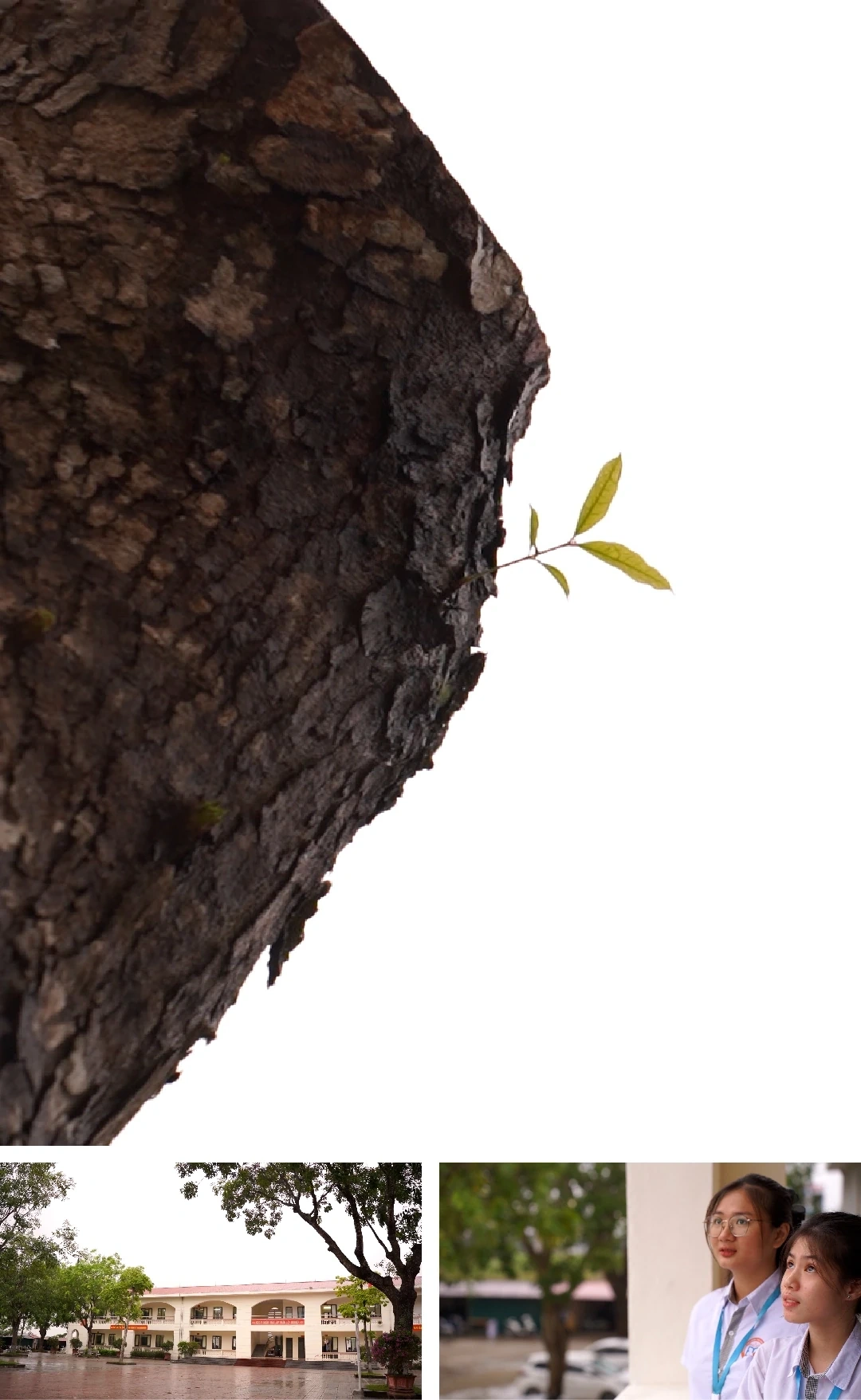 [E - Magazine] Từ bóng tối bạo lực đến ánh sáng yêu thương - Kỳ 2: Trao yêu thương, xóa bạo lực học đường