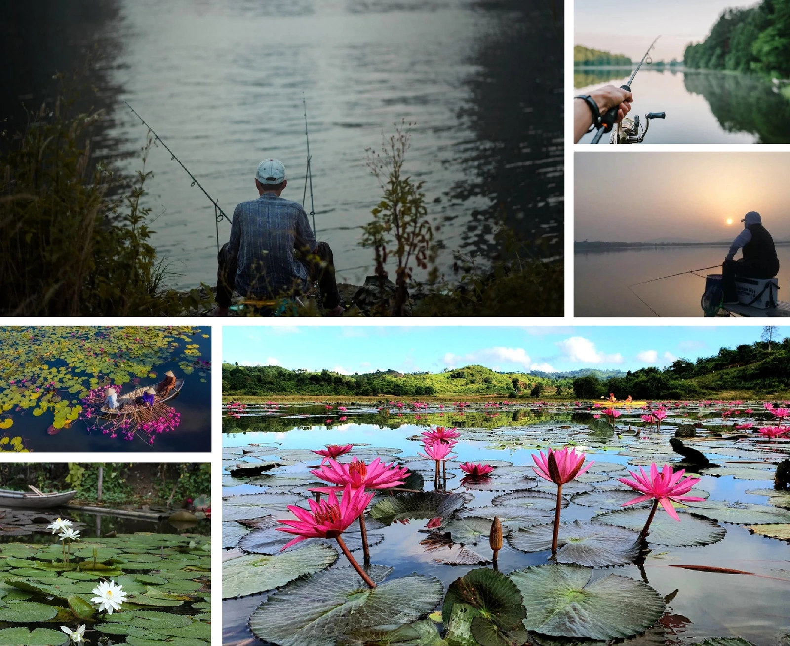 [E-Magazine]: Thơm theo mùa heo may ủ sương