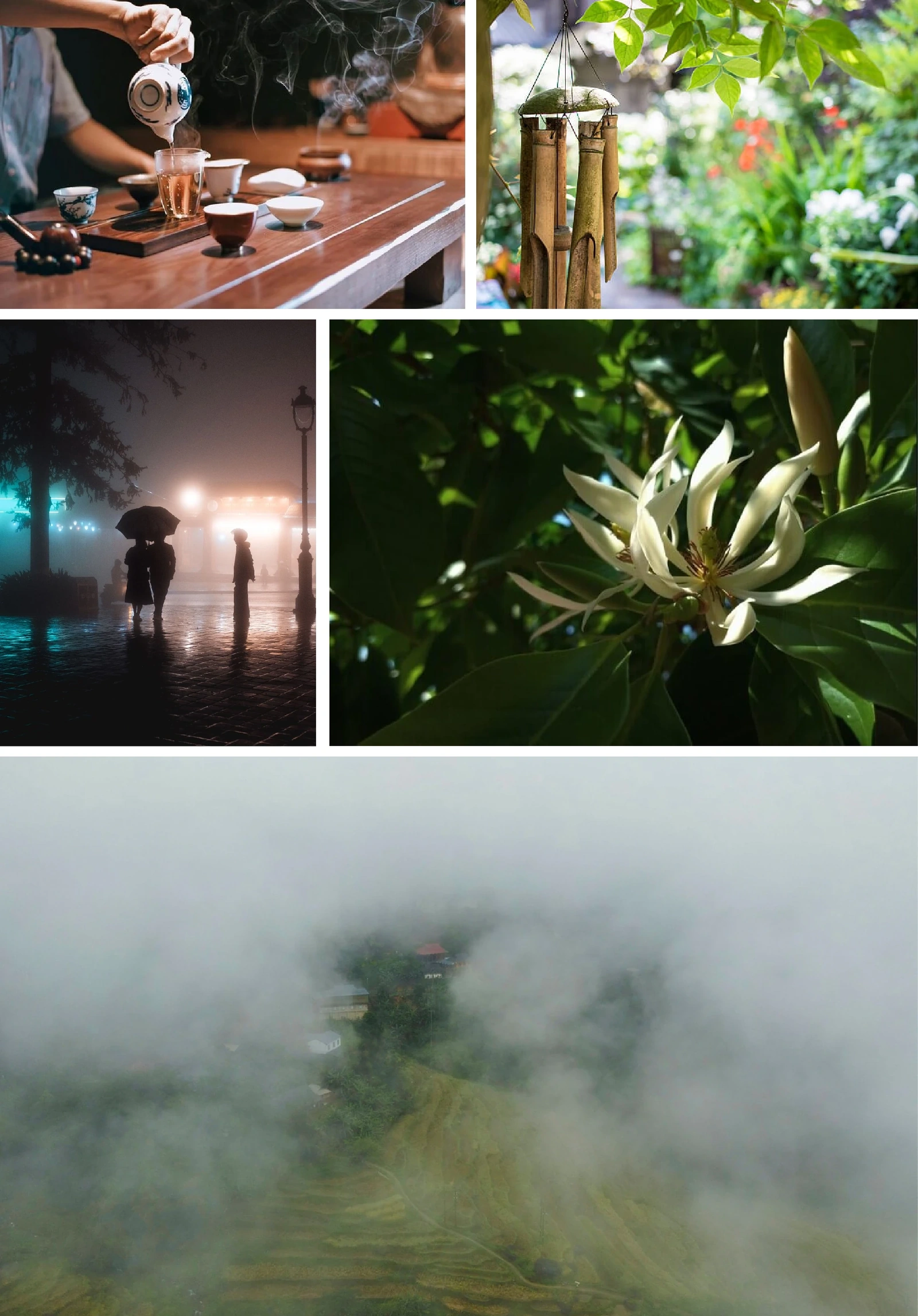 [E-Magazine]: Thơm theo mùa heo may ủ sương