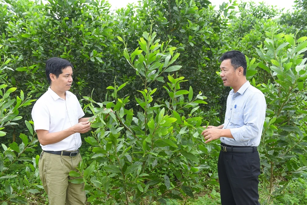 Phát triển kinh tế trên vùng đất Xuân Bình