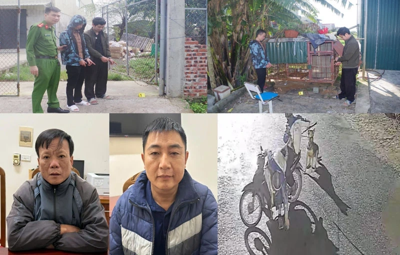 Bắt giữ các đối tượng chuyên trộm cắp chó