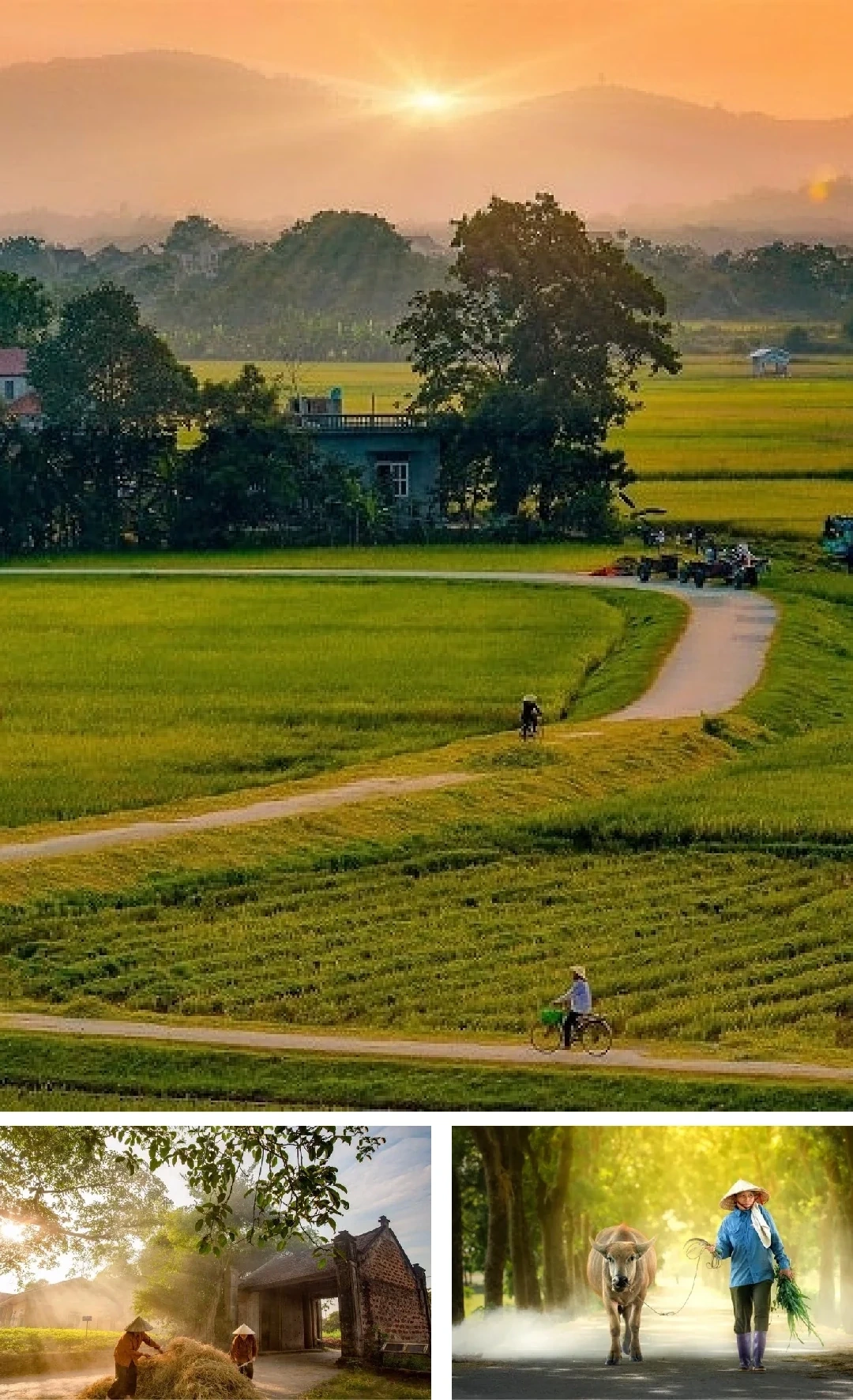 [E-magazin]: Những ngả đường có nắng