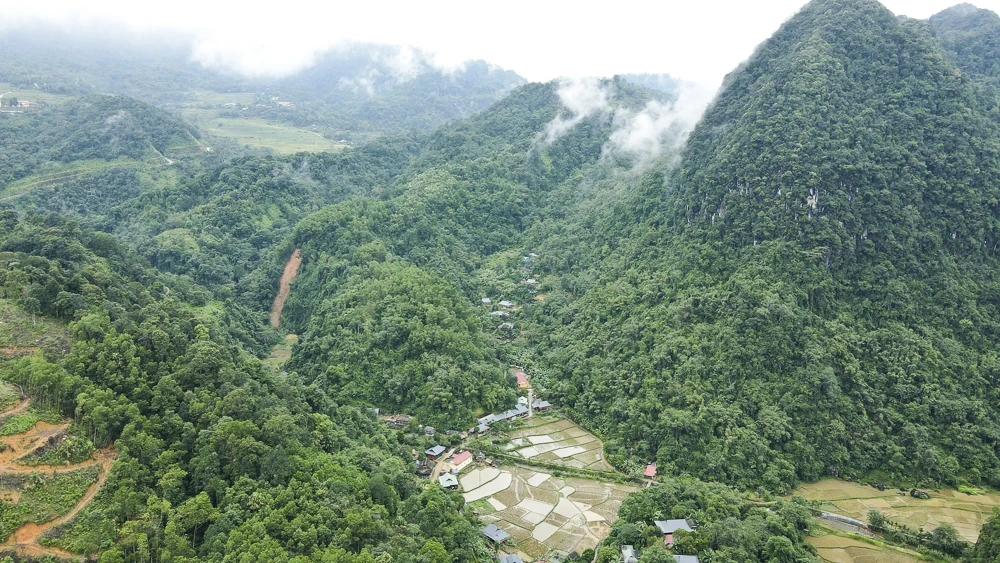 Cam, quýt Pù Luông, cây thoát nghèo của người vùng cao