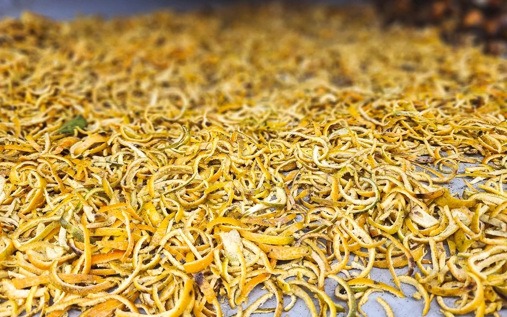 Cam, quýt Pù Luông, cây thoát nghèo của người vùng cao