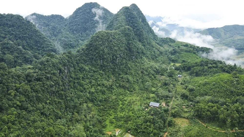 Cam, quýt Pù Luông, cây thoát nghèo của người vùng cao