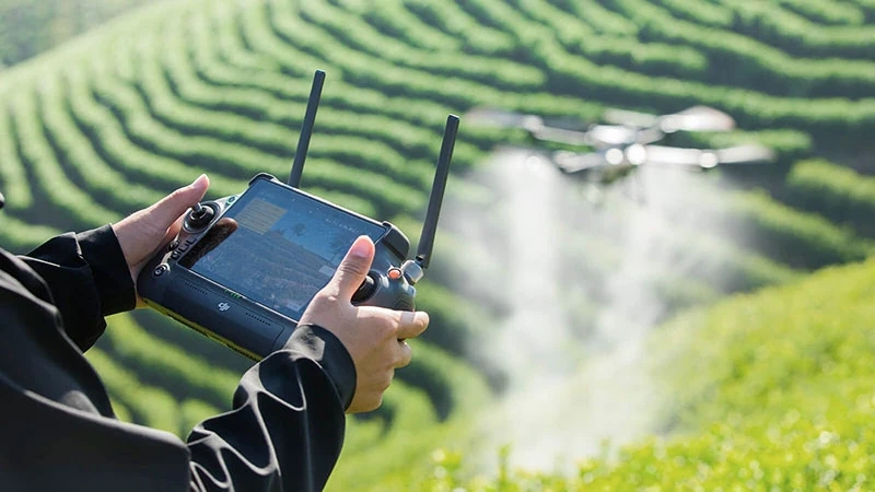 Quy định mới về việc Đào tạo, cấp giấy phép điều khiển phương tiện bay không người lái theo nghị định 288/NĐ-CP