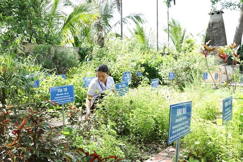 Phát triển y dược cổ truyền trong chăm sóc sức khỏe Nhân dân