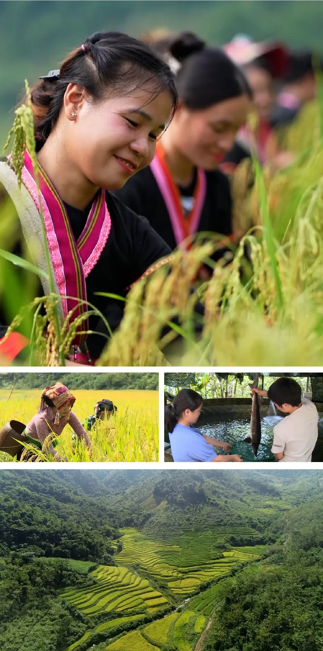 [E-Magazine]: Miền núi Thanh Hóa - Hành trình vươn lên từ gian khó