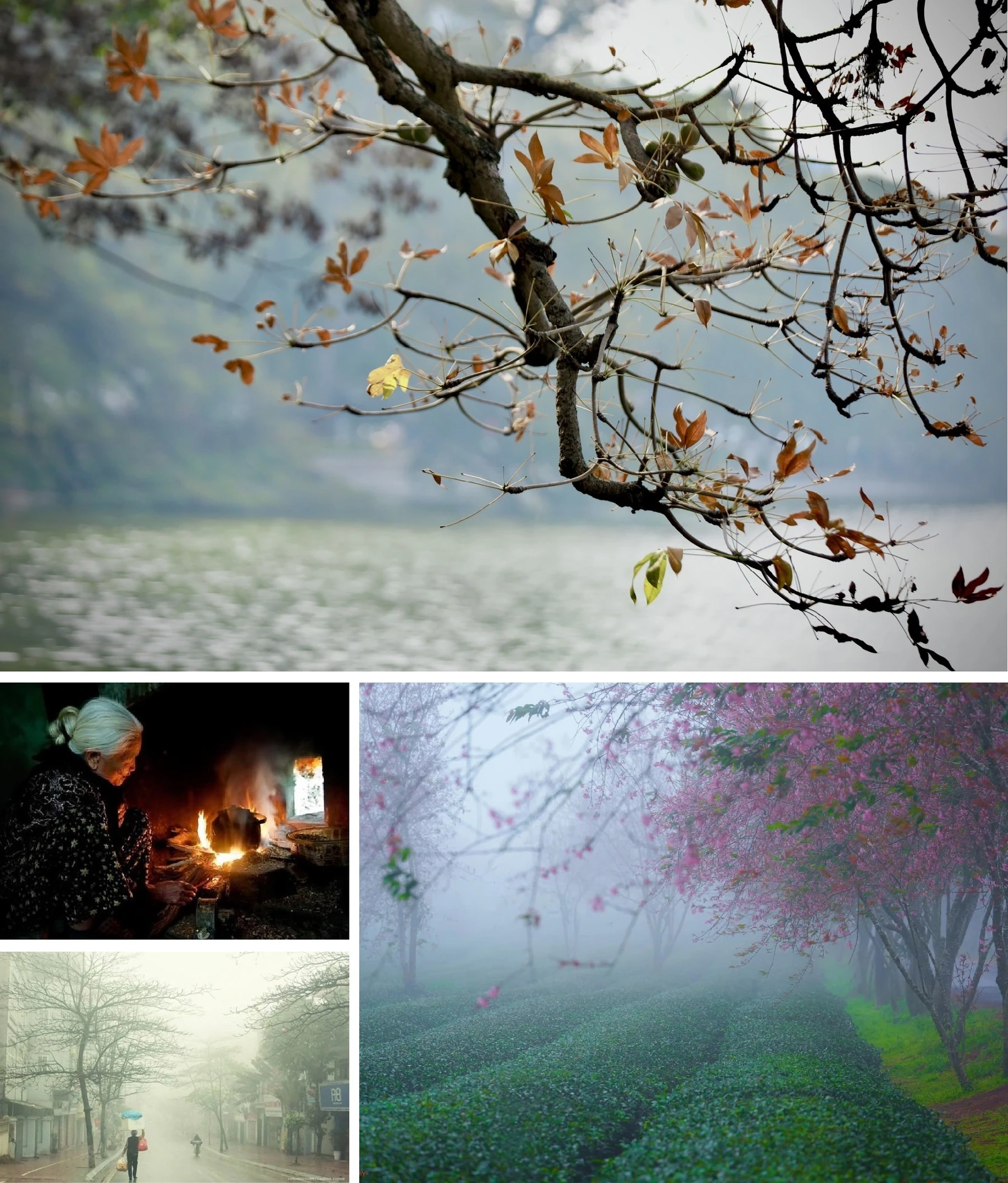 [E-Magazine]: Thấy mình trong những bình yên rất nhỏ