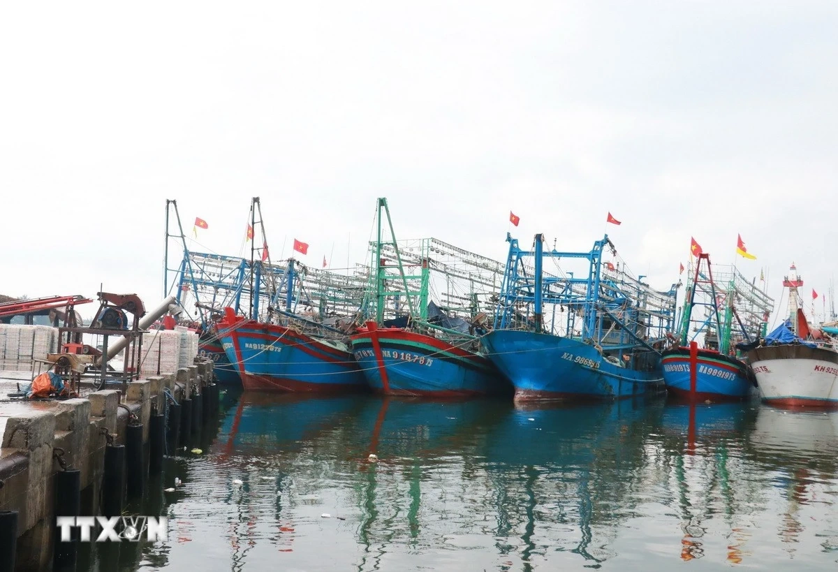 Áp thấp nhiệt đới ít có khả năng ảnh hưởng trực tiếp đến đất liền Nam Bộ