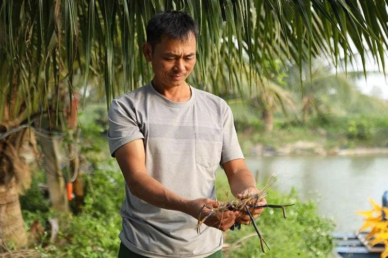 Dám thay đổi để làm giàu