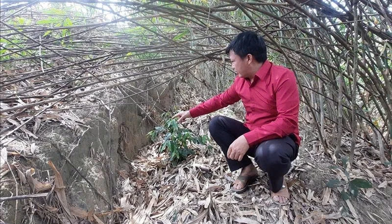 Sớm triển khai các khu tái định cư ở xã Trung Lý