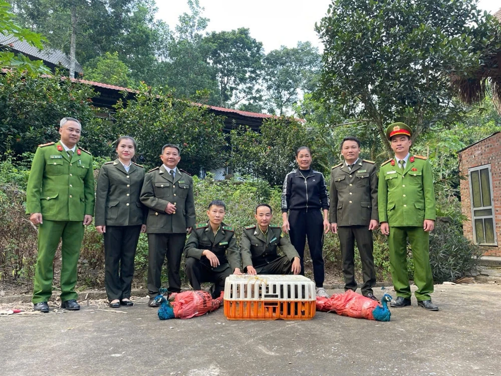 3 cá thể động vật nguy cấp, quý hiếm được người dân giao nộp