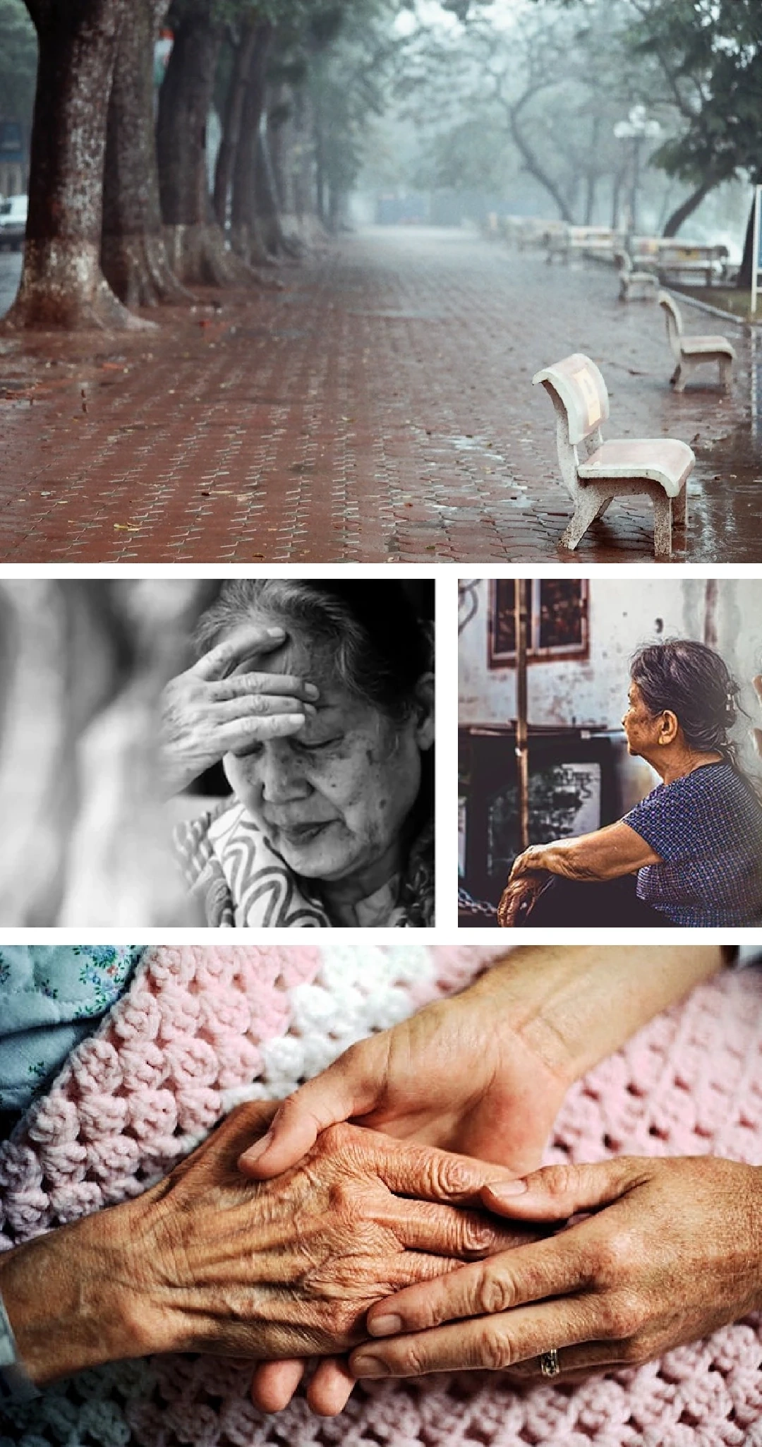 [E-Magazine]: Thanh âm của bình minh