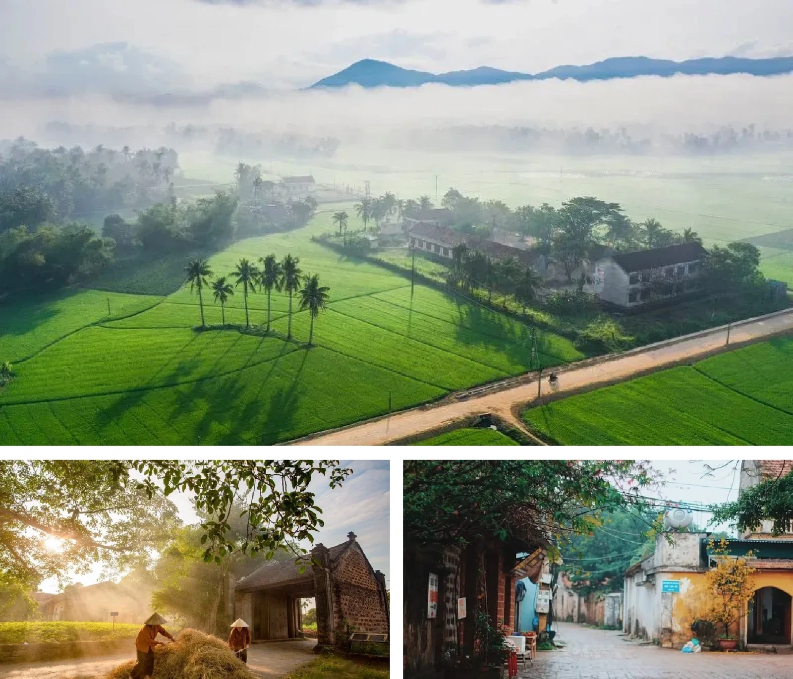 [E-Magazine]: Thanh âm của bình minh