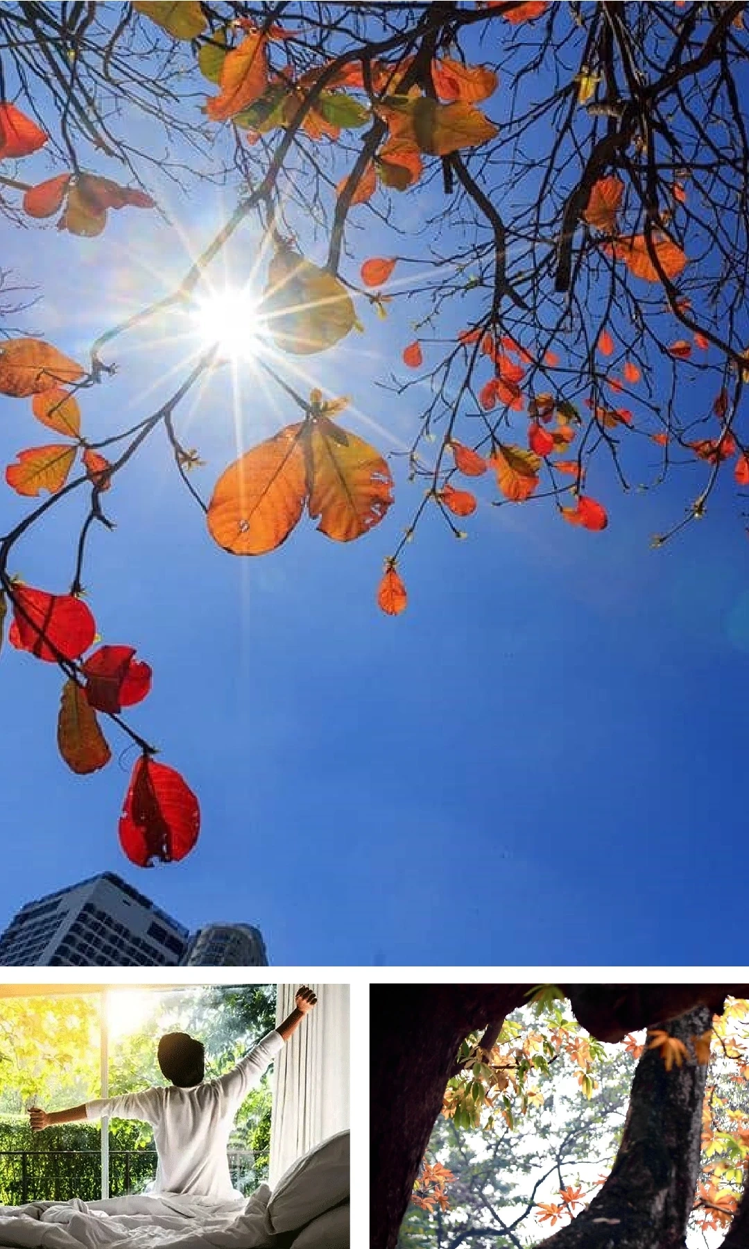 [E-Magazine]: Thanh âm của bình minh