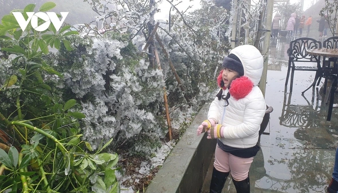 Miền Bắc chuẩn bị bước vào cao điểm rét đậm, rét hại trên diện rộng