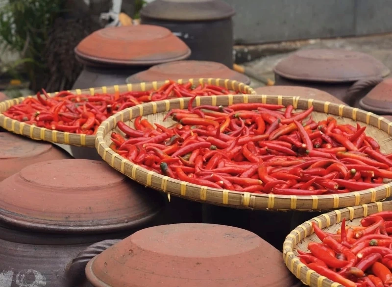 Vụ đông năm 2025-2026: Nhiều khởi sắc và thử thách (Bài 2): Giá nông sản tăng chóng mặt và sức ép quản lý các chuỗi cung ứng