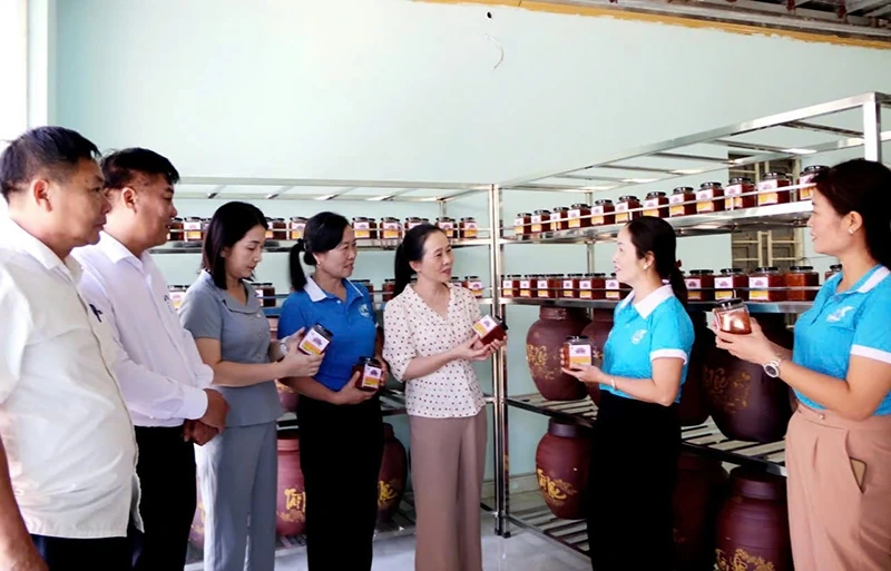 Tạo cơ hội, kích cầu cho các HTX do phụ nữ tham gia quản lý phát triển