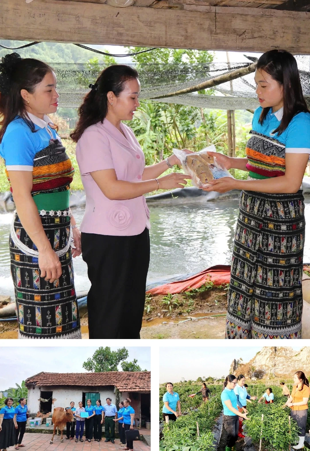 [E-Magazine]: Những dấu ấn nổi bật của phụ nữ Thanh Hóa giai đoạn 2021-2025